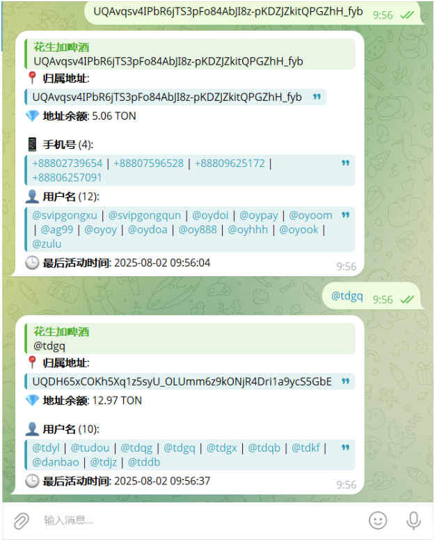 【站长亲测】Telegram机器人/NFT资产查询机器人源码/tg机器人源码/带视频搭建教程-无名博客